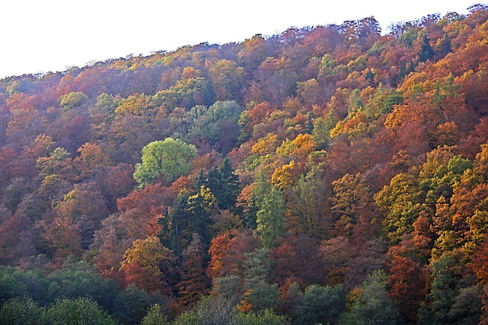 Ederbergland im Herbst