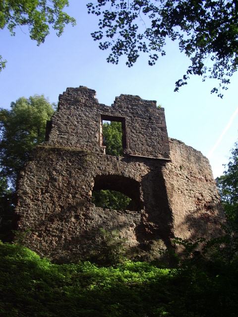 Schlossruine Rauschenberg